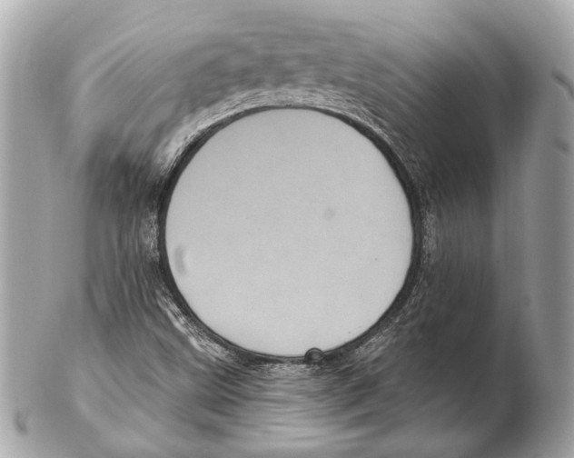 X0000102401499200808291434