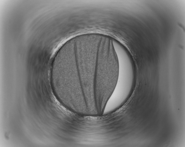 X0000102401500200808291434