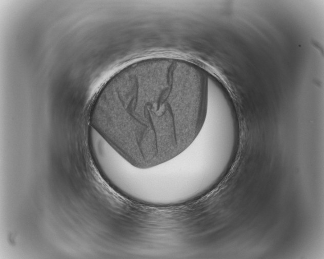 X0000102401504200808291434