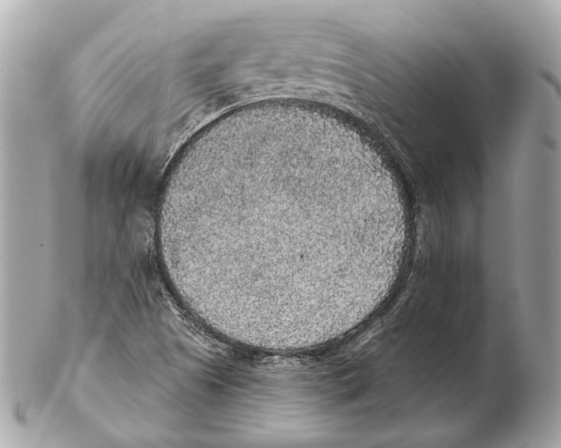 X0000102401505200808291434