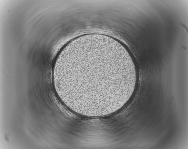 X0000102401507200808291434