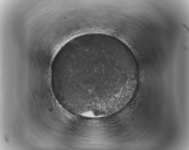X0000102401508200808291434