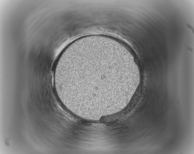 X0000102401509200808291434