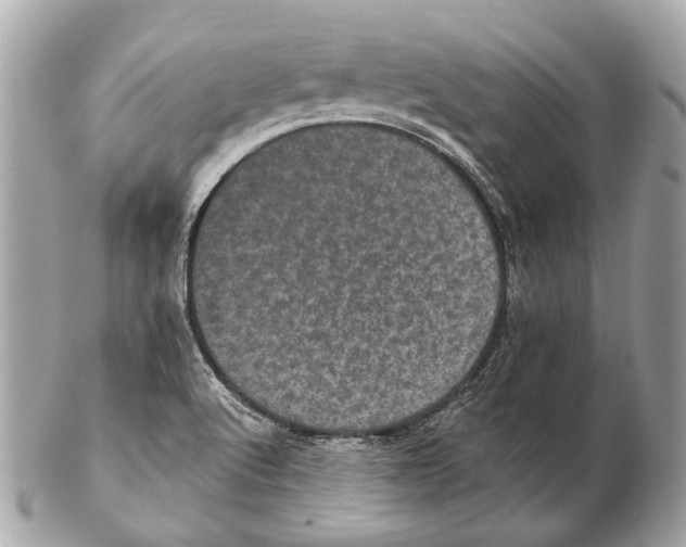 X0000102401512200808291434