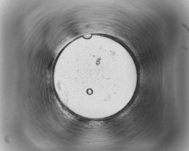 X0000102401513200808291434