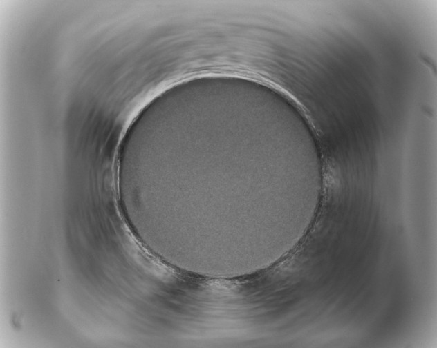 X0000102401514200808291434