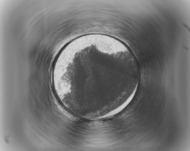 X0000102401515200808291434