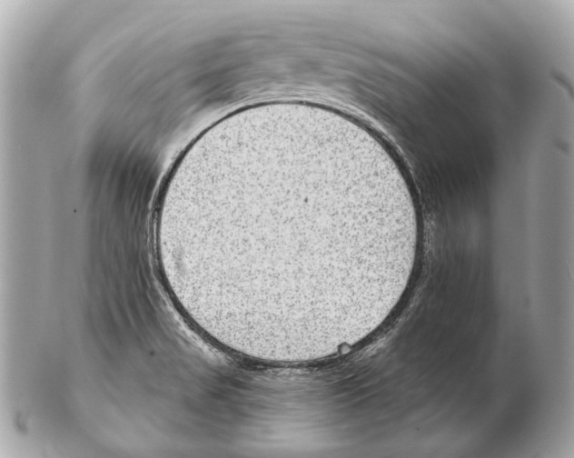 X0000102401517200808291434