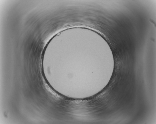 X0000102401518200808291434