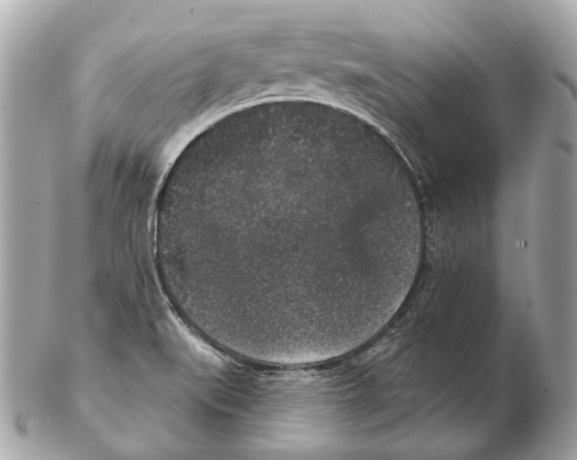 X0000102401519200808291434
