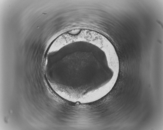 X0000102401522200808291434