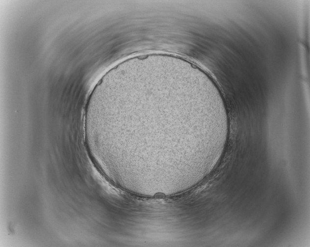 X0000102401524200808291434