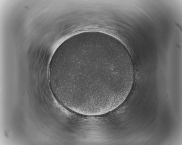 X0000102401527200808291434