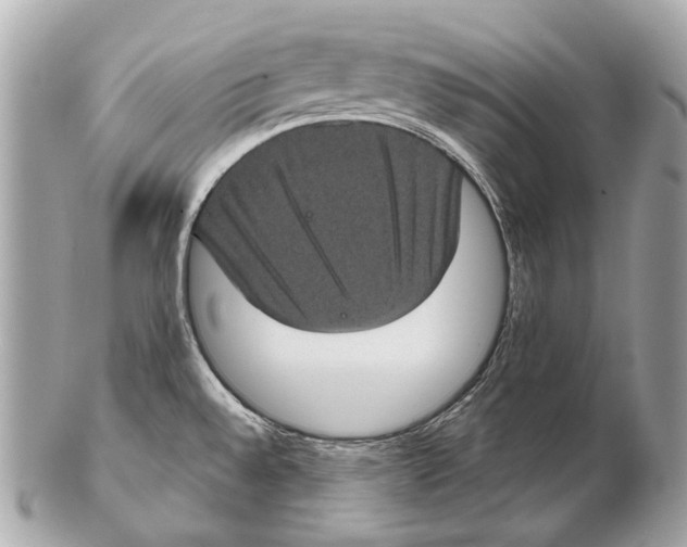 X0000102401528200808291434