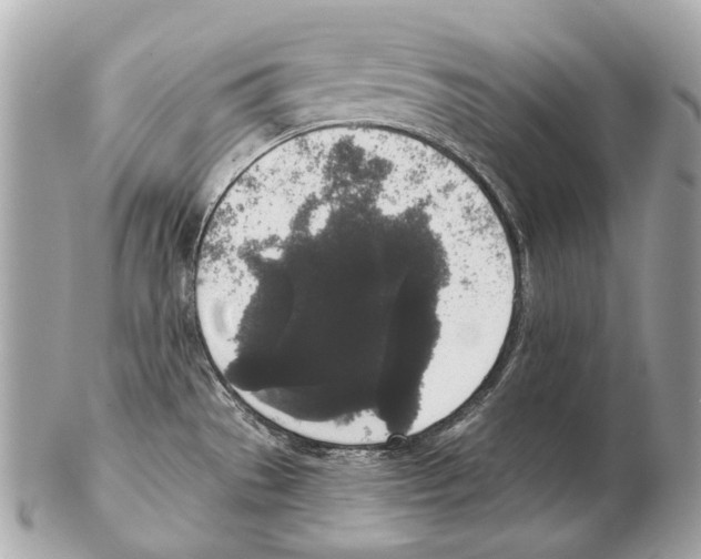X0000102401529200808291434