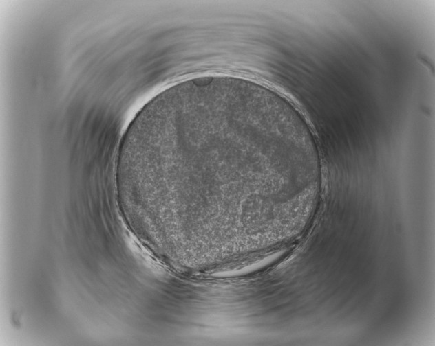 X0000102401530200808291434