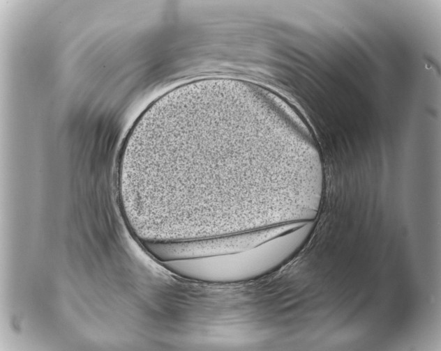 X0000102401531200808291434