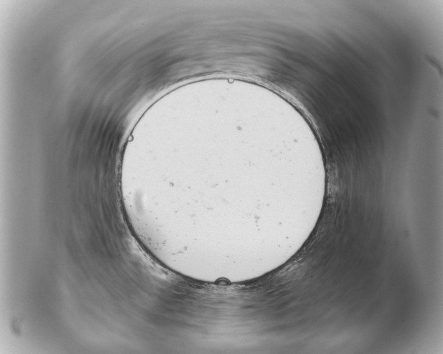 X0000102401532200808291434