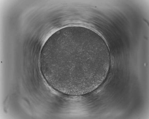 X0000102401533200808291434
