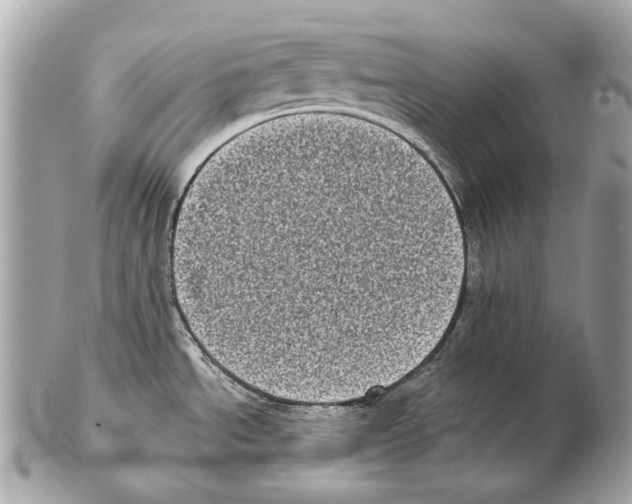 X0000102401534200808291434