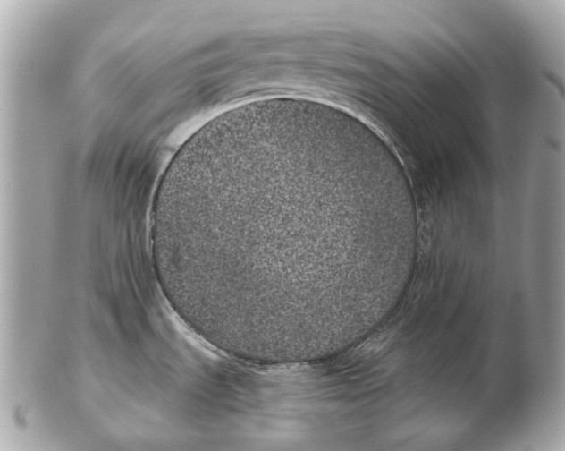 X0000102401535200808291434
