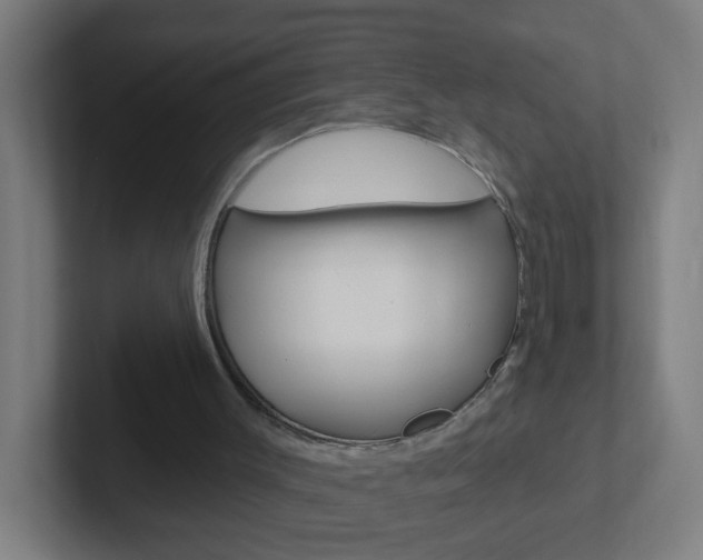 X0000102410003200808011025
