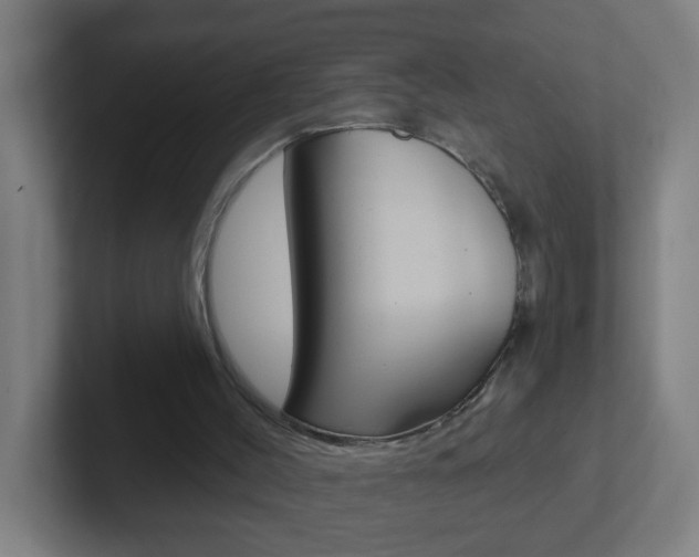 X0000102410004200808011025