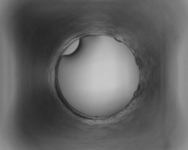 X0000102410005200808011025