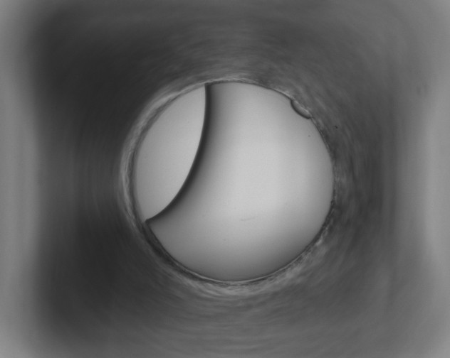 X0000102410006200808011025