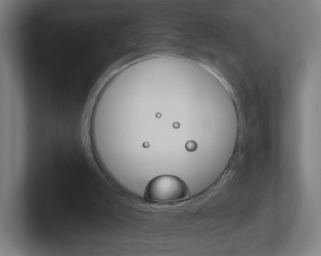 X0000102410007200808011025