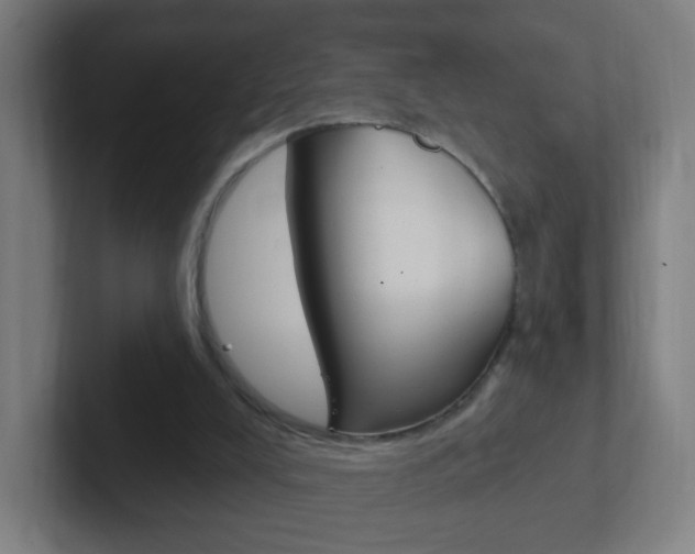 X0000102410008200808011025