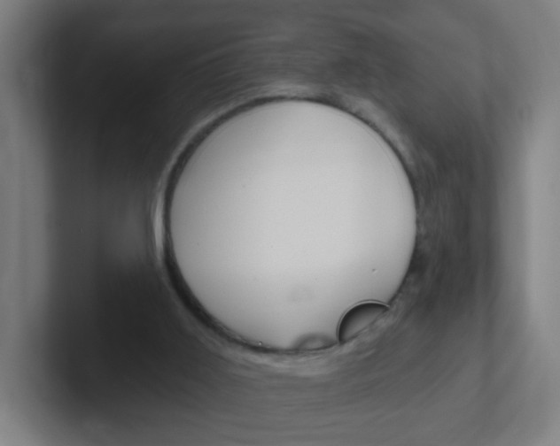 X0000102410011200808011025