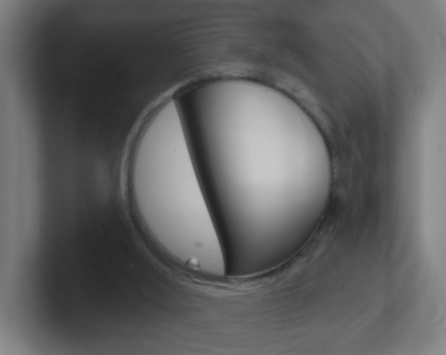 X0000102410012200808011025