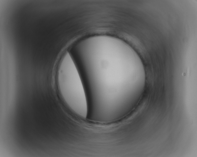 X0000102410016200808011025