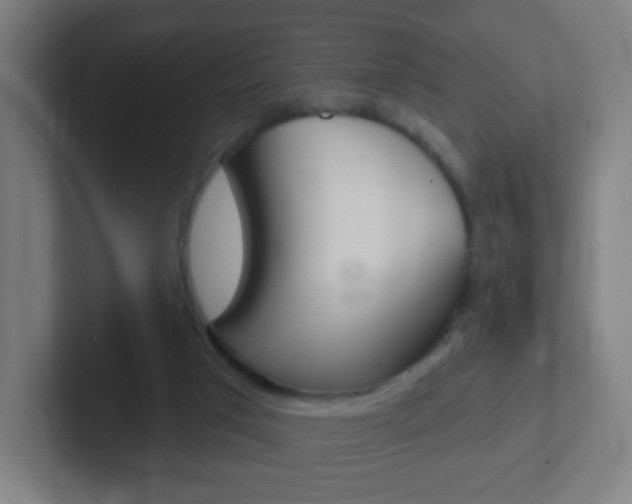 X0000102410017200808011025