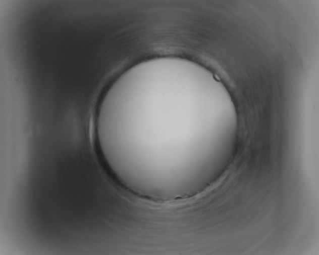 X0000102410019200808011025