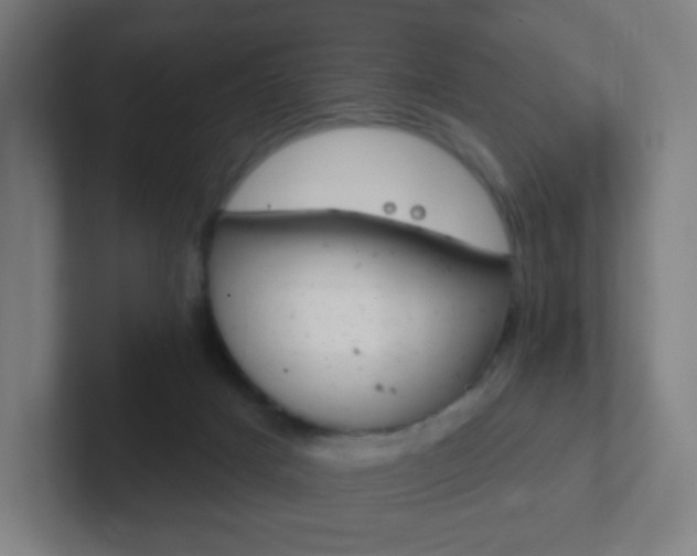 X0000102410025200808011025