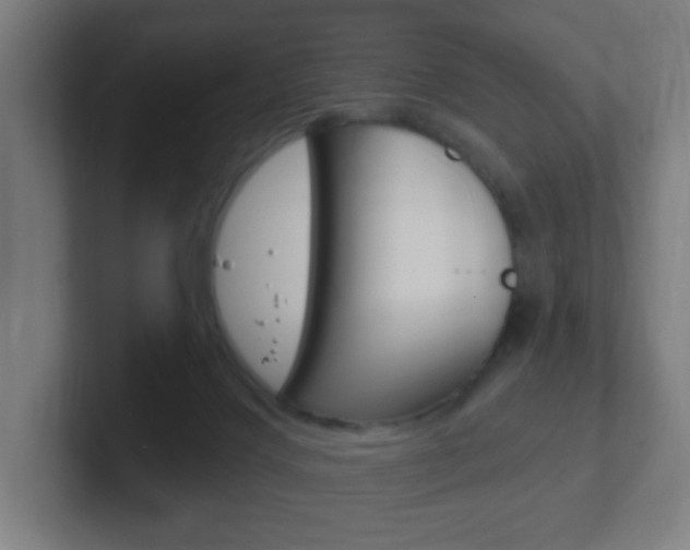X0000102410028200808011025