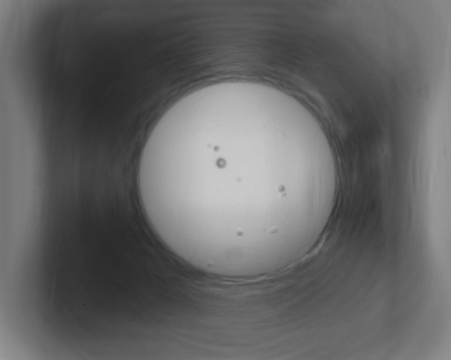 X0000102410029200808011025