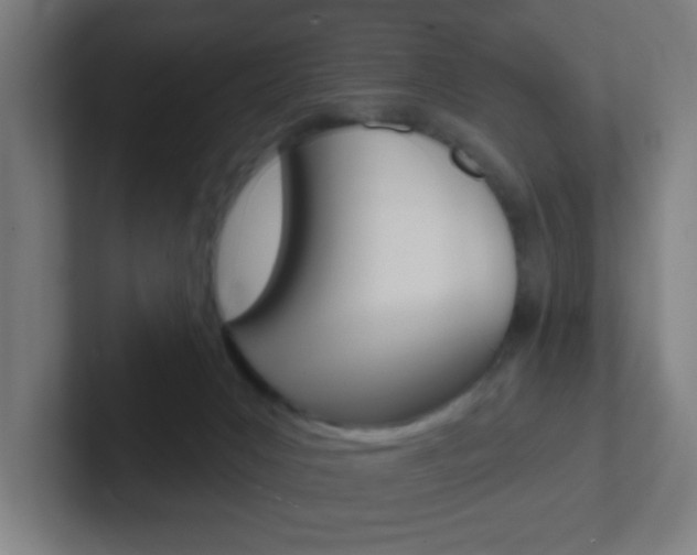 X0000102410031200808011025