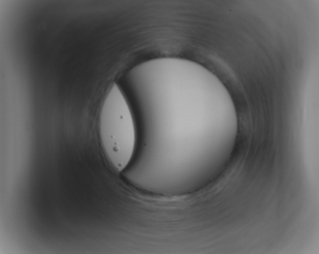 X0000102410032200808011025