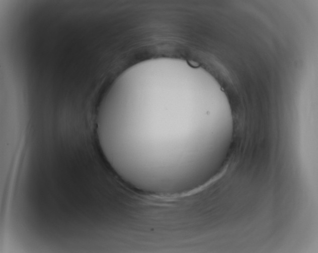 X0000102410033200808011025