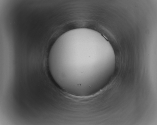 X0000102410035200808011025