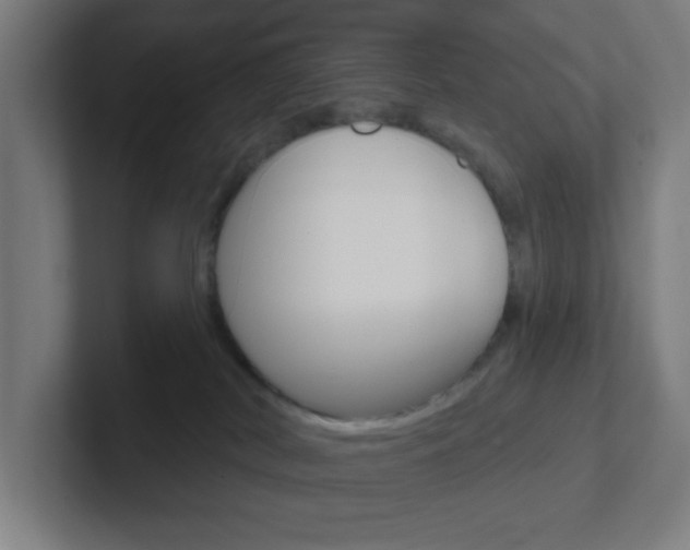 X0000102410038200808011025