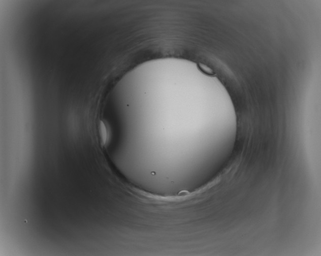 X0000102410039200808011025