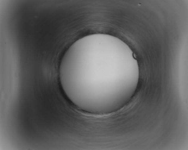 X0000102410040200808011025