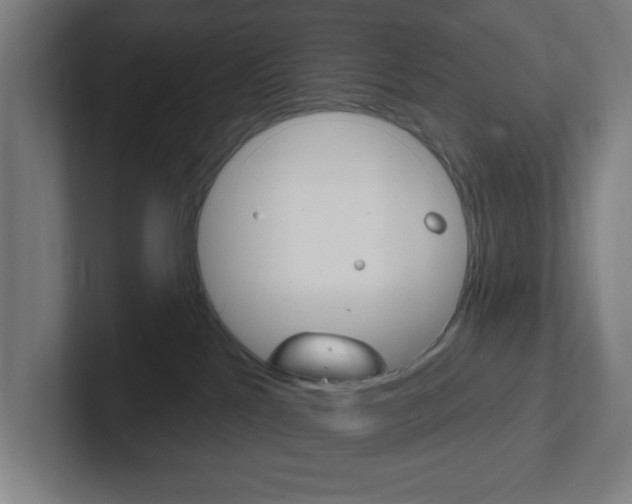 X0000102410041200808011025