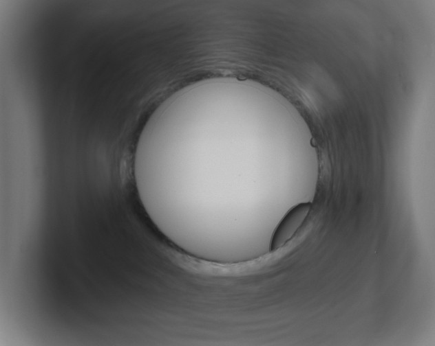 X0000102410043200808011025