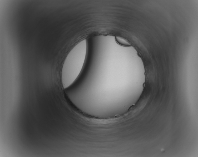 X0000102410044200808011025