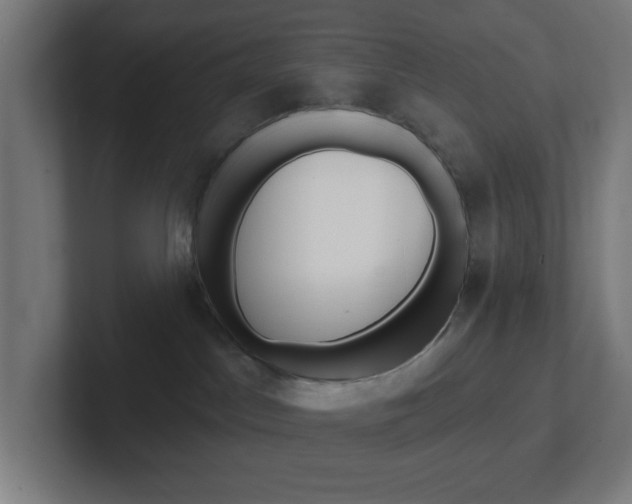 X0000102410045200808011025